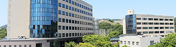Faculty of Systems Engineering