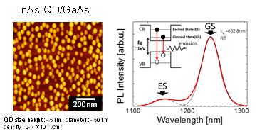 半導体ナノ構造を用いた光デバイス応用