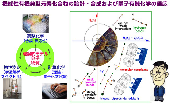 計算先導型有機化学