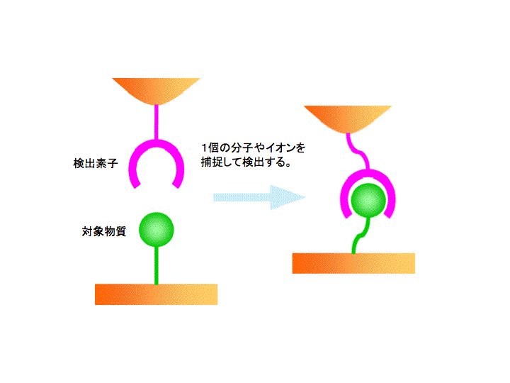 化学計測マテリアルデザイン