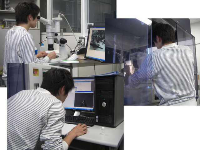 化合物の結晶構造を調べているところ