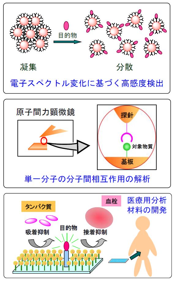 参考画像