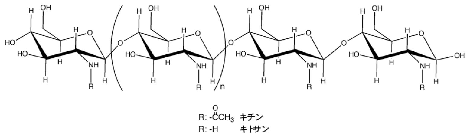 参考画像