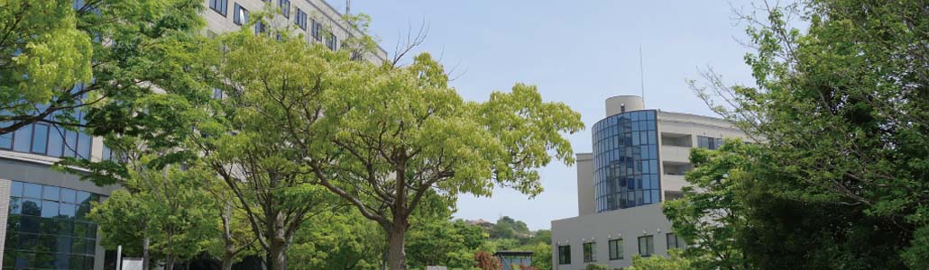 Faculty of Systems Engineering Top Image