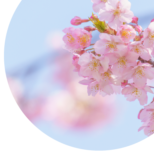 ガイダンス桜大学院