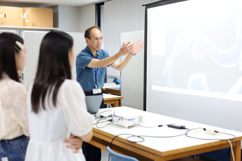 展示の様子