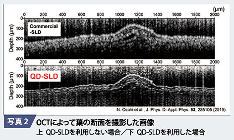 ozaki2.jpg