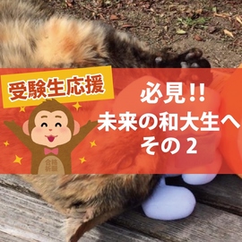 観光学部という場所【受験生応援リレー②】