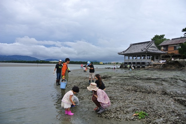 観察会風景 - コピー.jpeg