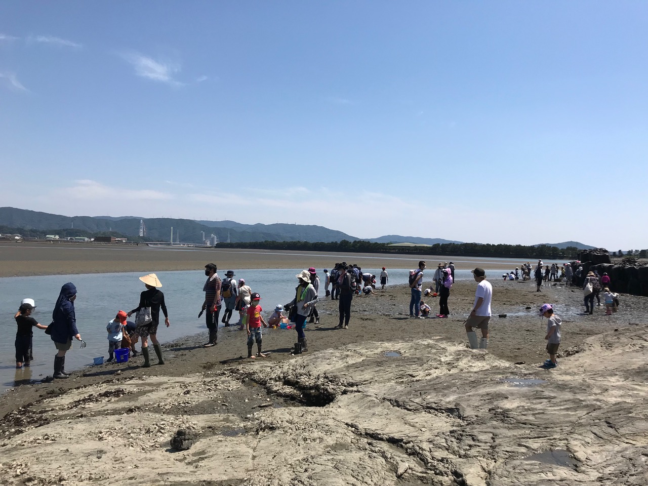 干潟観察会