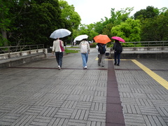 おさんぽ開始