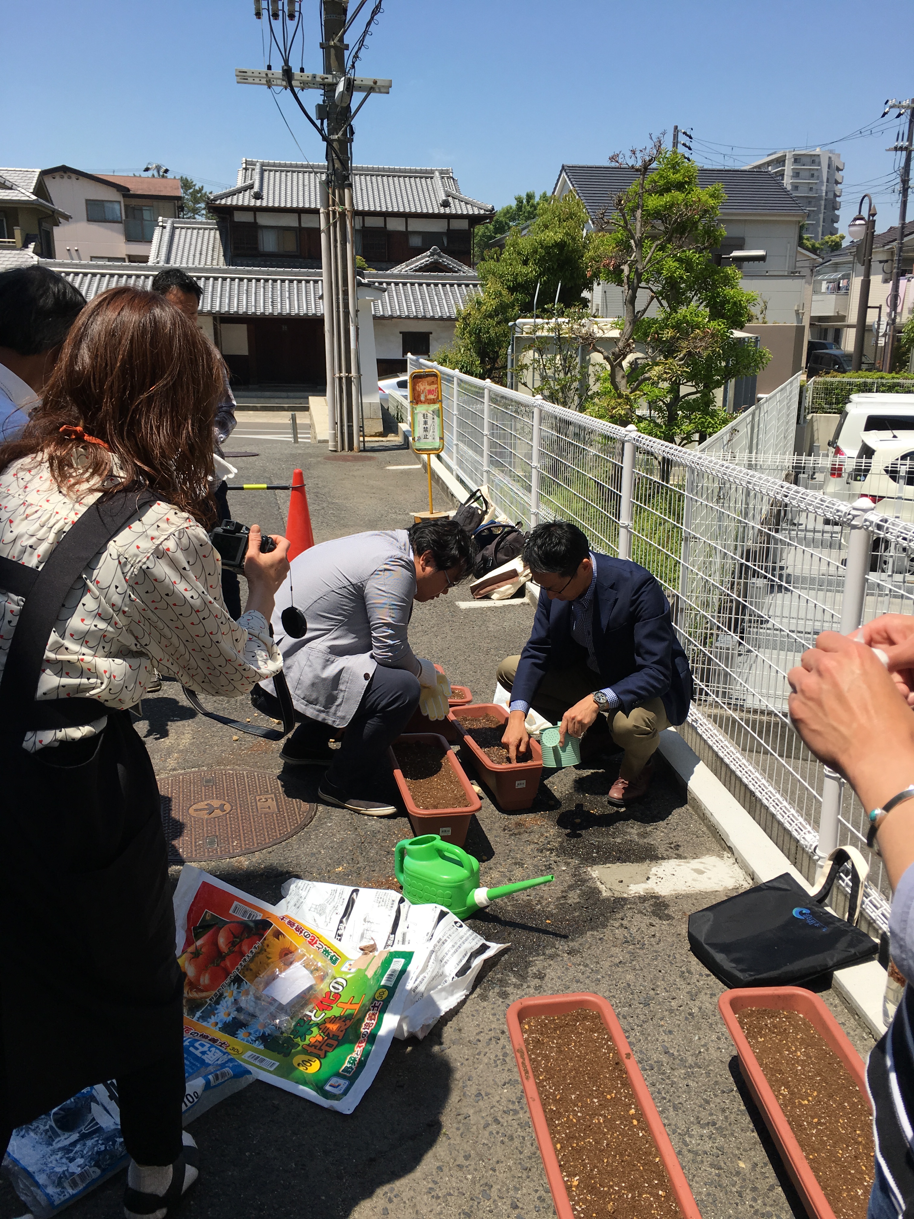 棉の種を植えているところ