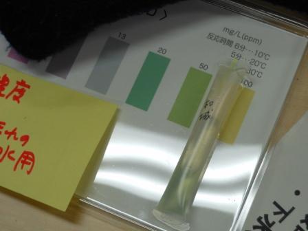 検査結果