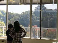 窓から和歌山城を見る参加者