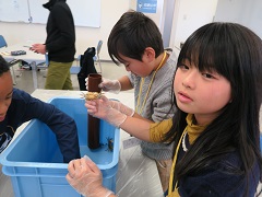 カニをつかむ子供達