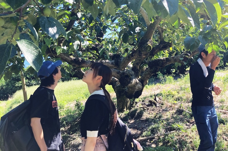 きみのフルーツ