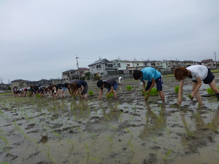田植え.jpg