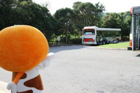 20130823pick-up-2.jpg