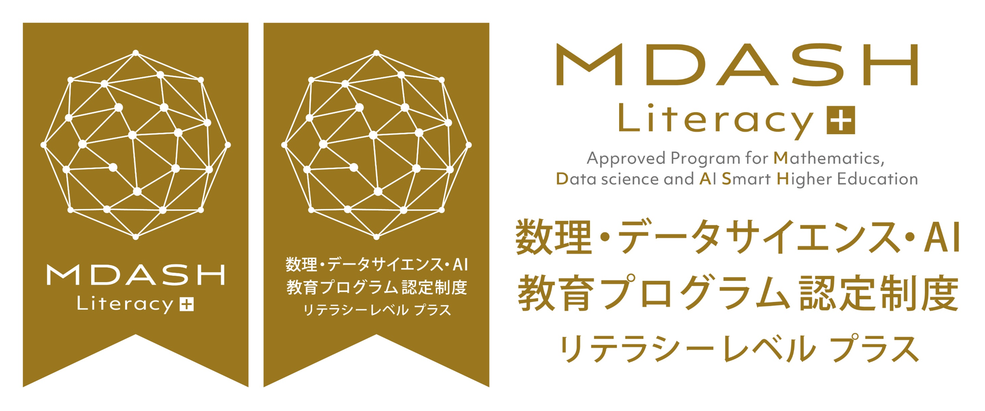 リテラシーレベルプラス